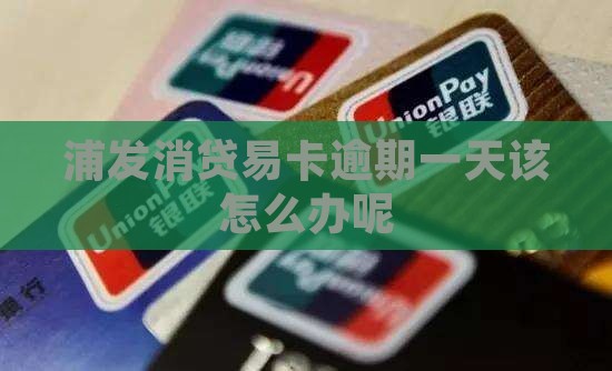 浦发消贷易卡逾期一天该怎么办