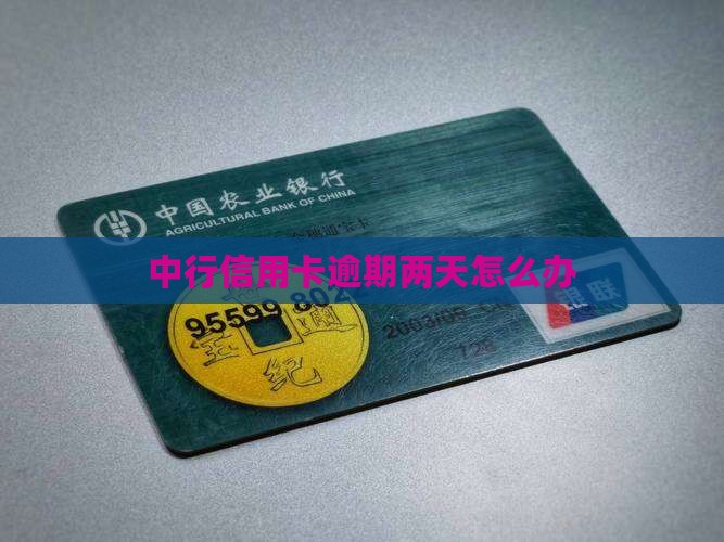 中行信用卡逾期两天怎么办