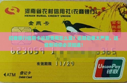 招商银行信用卡逾期费用如何计算