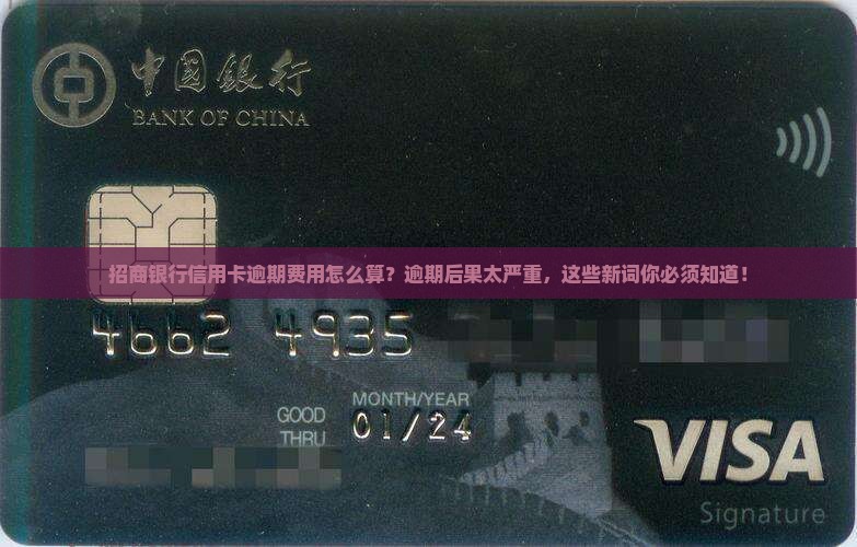 招商银行信用卡逾期费用如何计算