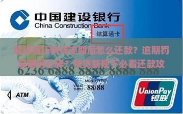 建设银行快贷逾期后怎么还款方法