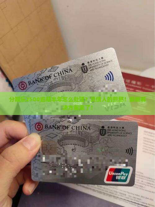 分期乐2500逾期半年该怎么处理