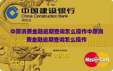中原消费金融逾期查询怎么操作