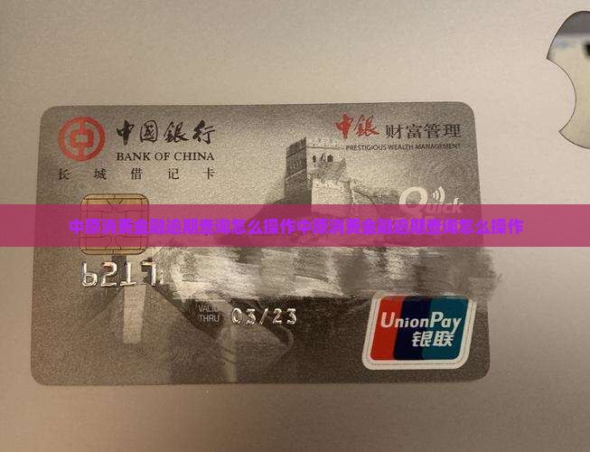 中原消费金融逾期查询怎么操作