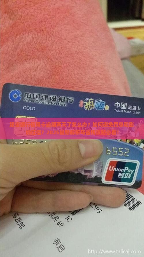 建设银行信用卡逾期二天了如何处理