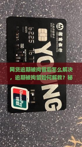 网贷逾期被拘留后怎么解决