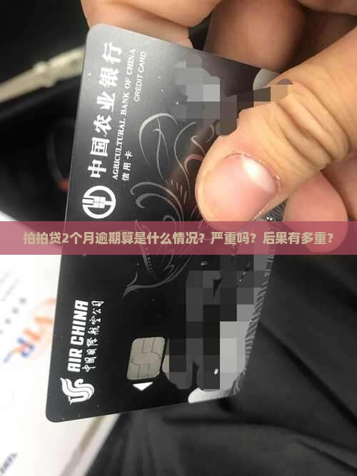 拍拍贷2个月逾期算是什么情况