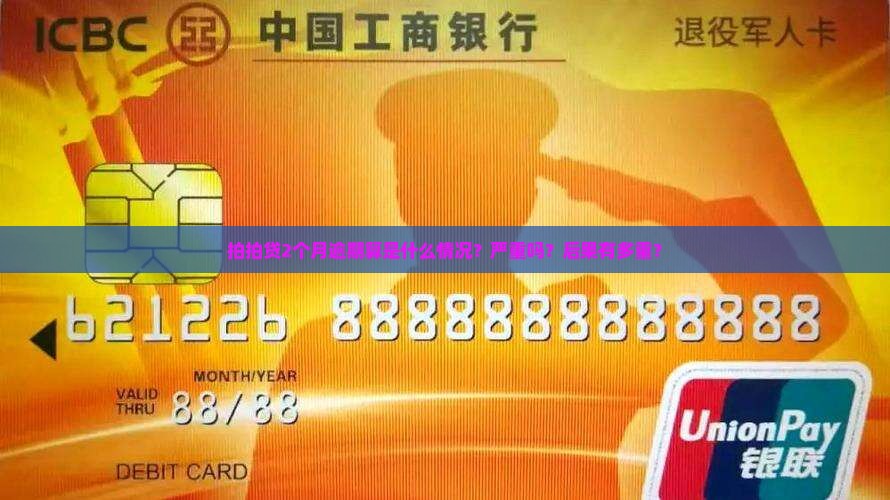 拍拍贷2个月逾期算是什么情况