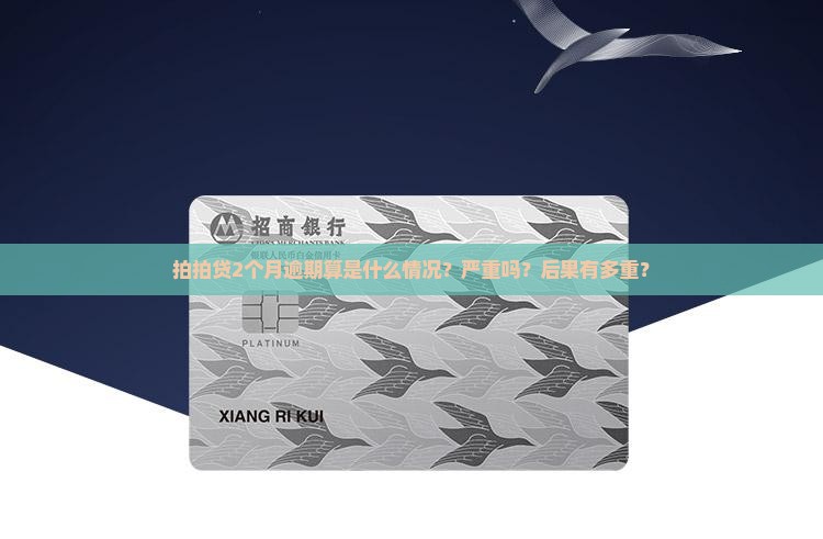 拍拍贷2个月逾期算是什么情况