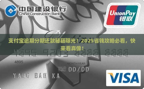 支付宝逾期分期还款方法