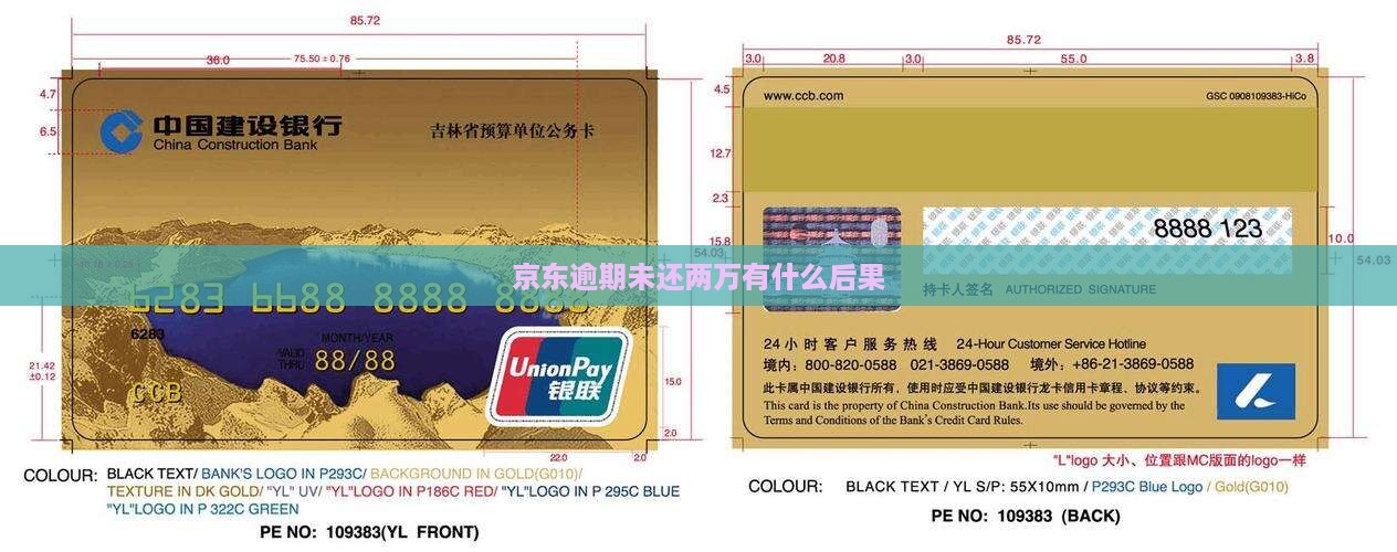 京东白条逾期未还两万会有什么后果