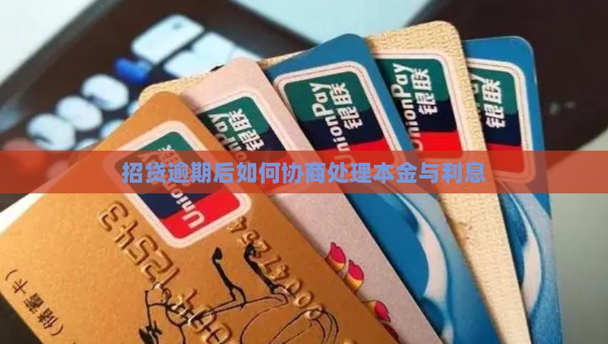 e招贷逾期如何协商还本金和利息