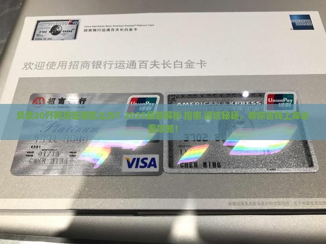 负债20万网贷逾期怎么办