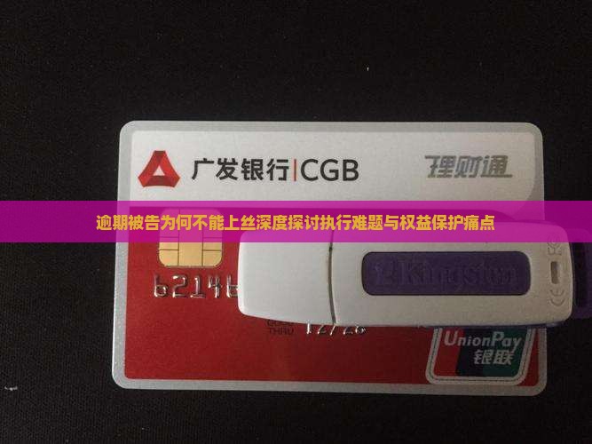 逾期被告为何不能上丝深度探讨执行难题与权益保护痛点