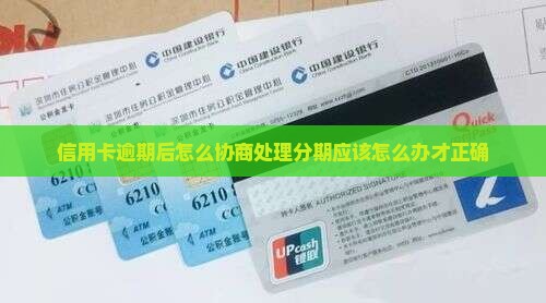 信用卡逾期后怎么协商处理分期应该怎么办才正确