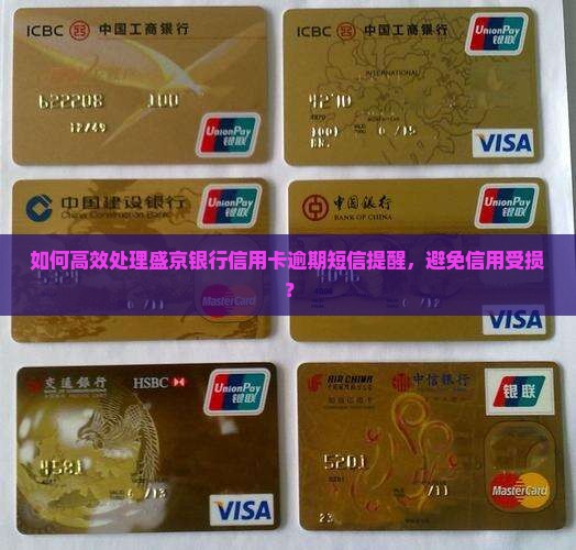 如何高效处理盛京银行信用卡逾期短信提醒，避免信用受损？