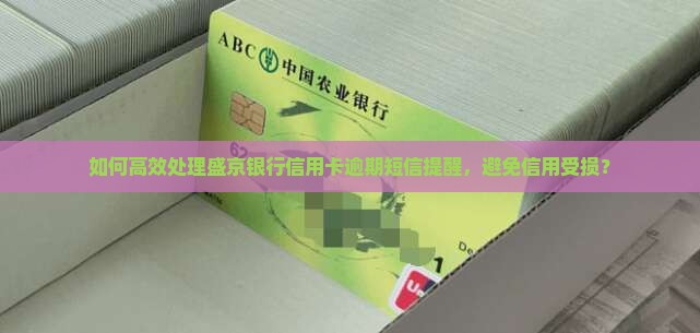 如何高效处理盛京银行信用卡逾期短信提醒，避免信用受损？