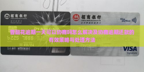 网贷逾期一天可以协商吗怎么解决及协商逾期还款的有效策略与处理方法
