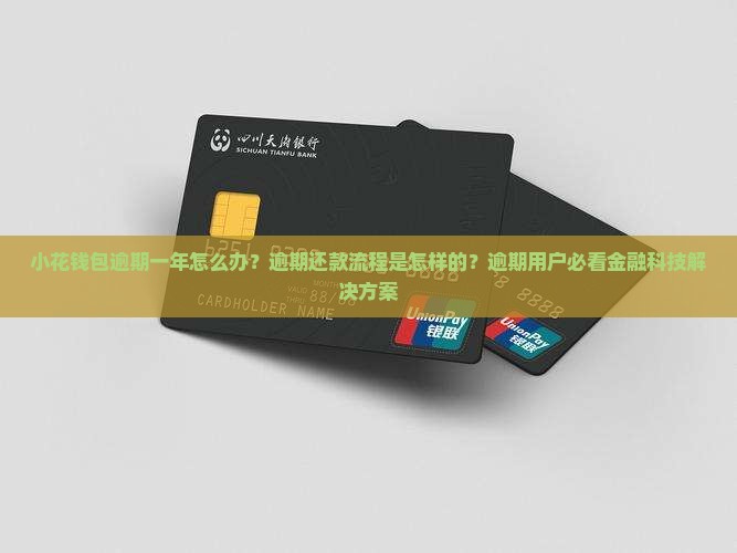 小花钱包逾期一年怎么办？逾期还款流程是怎样的？逾期用户必看金融科技解决方案