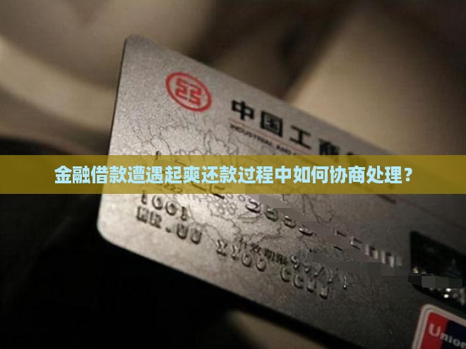 金融借款遭遇起爽还款过程中如何协商处理？