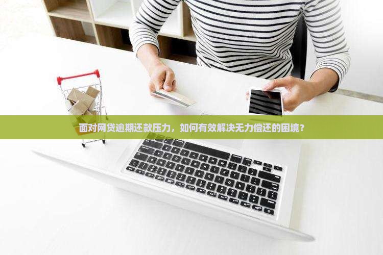 面对网贷逾期还款压力，如何有效解决无力偿还的困境？