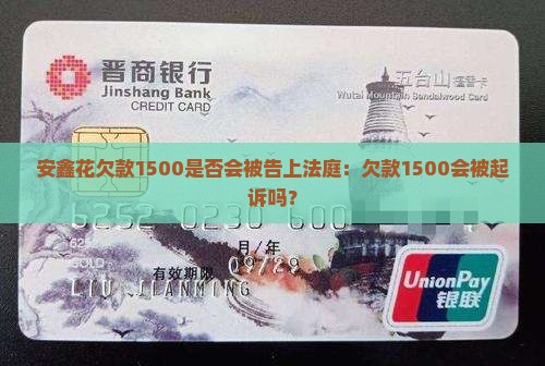 安鑫花欠款1500是否会被告上法庭：欠款1500会被起诉吗？