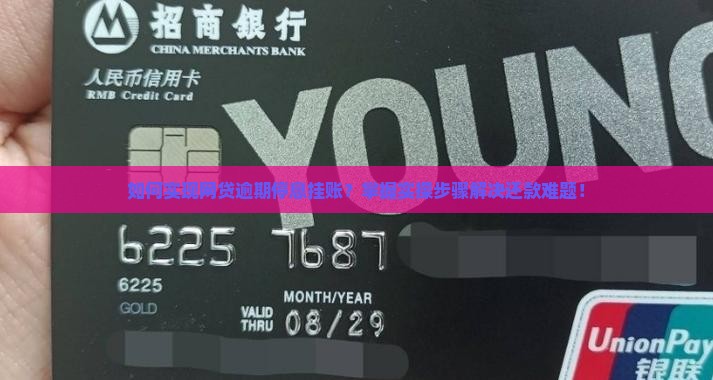 如何实现网贷逾期停息挂账？掌握实操步骤解决还款难题！