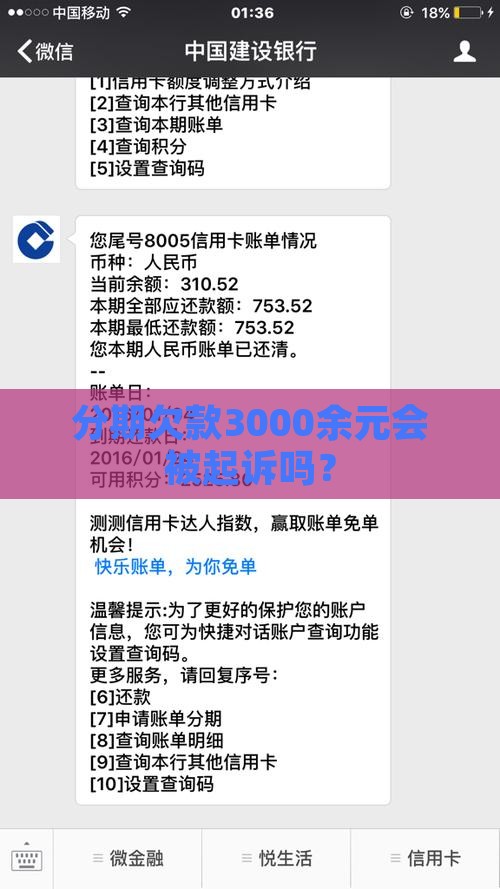分期欠款3000余元会被起诉吗？