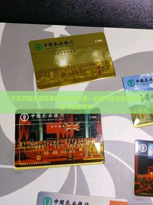 欠支付宝逾期后果问题解决方案：逾期不还款的法律责任与处理措施