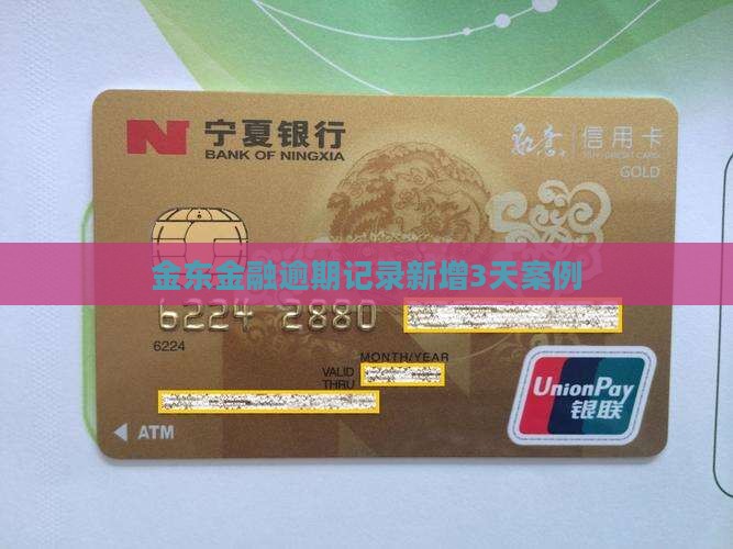 金东金融逾期记录新增3天案例