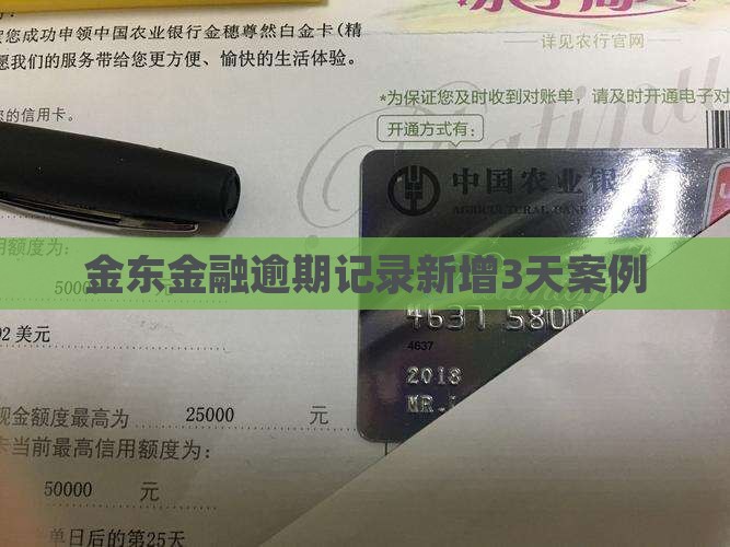 金东金融逾期记录新增3天案例