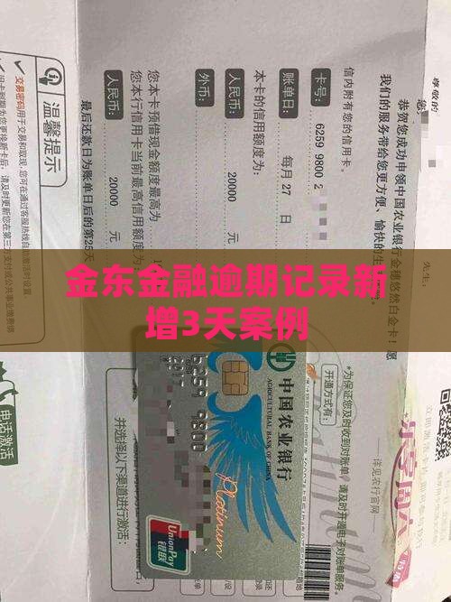 金东金融逾期记录新增3天案例