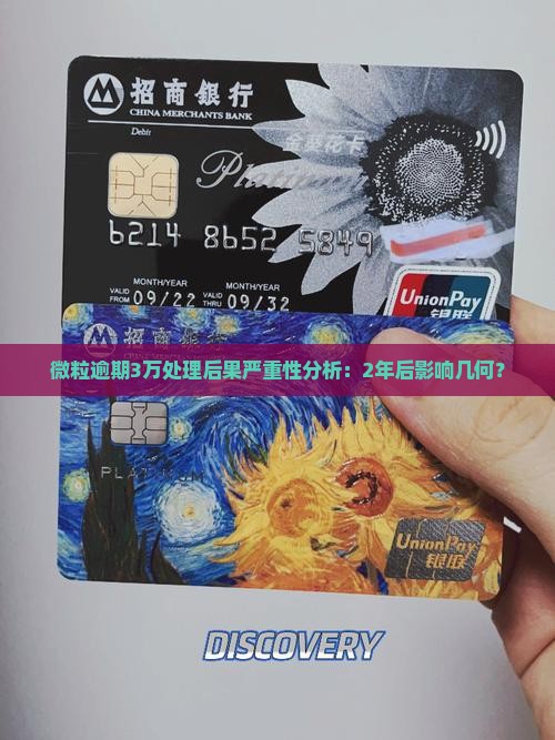 微粒逾期3万处理后果严重性分析：2年后影响几何？