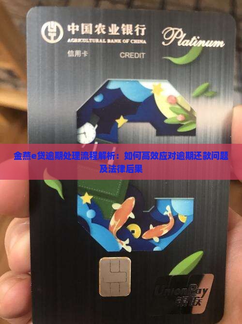 金燕e贷逾期处理流程解析：如何高效应对逾期还款问题及法律后果