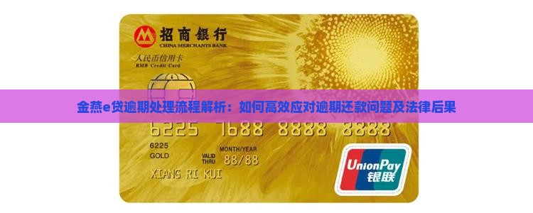金燕e贷逾期处理流程解析：如何高效应对逾期还款问题及法律后果