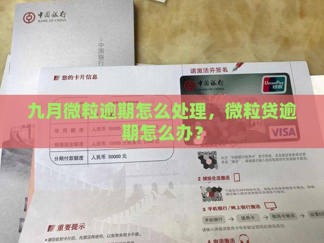 九月微粒逾期怎么处理，微粒贷逾期怎么办？