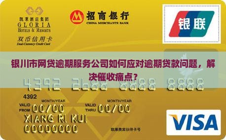 银川市网贷逾期服务公司如何应对逾期贷款问题，解决催收痛点？