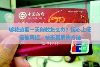 够花逾期一天催收怎么办？担心上征信被风控，快来看解决方法