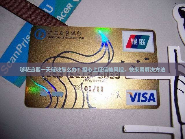 够花逾期一天催收怎么办？担心上征信被风控，快来看解决方法
