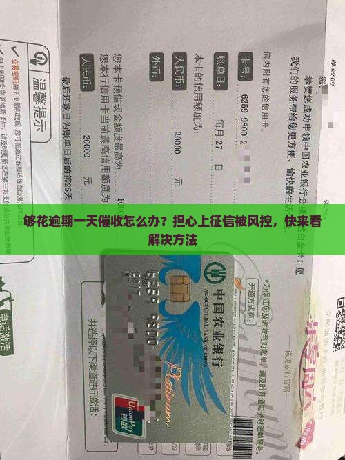 够花逾期一天催收怎么办？担心上征信被风控，快来看解决方法