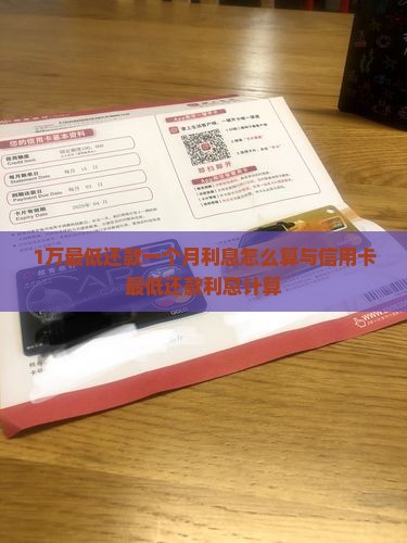 1万最低还款一个月利息怎么算与信用卡最低还款利息计算
