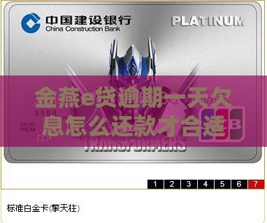 金燕e贷逾期一天欠息怎么还款才合适？