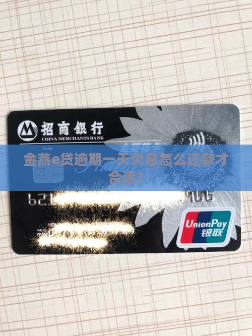 金燕e贷逾期一天欠息怎么还款才合适？