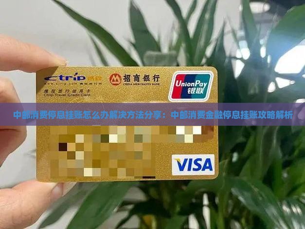 中邮消费停息挂账怎么办解决方法分享：中邮消费金融停息挂账攻略解析