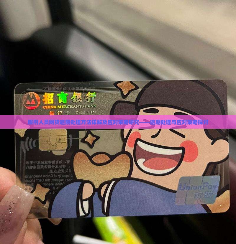 服刑人员网贷逾期处理方法详解及应对策略研究——逾期处理与应对策略探讨