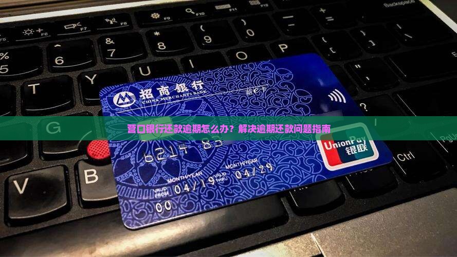 营口银行还款逾期怎么办？解决逾期还款问题指南