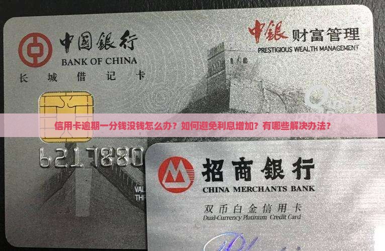 信用卡逾期一分钱没钱怎么办？如何避免利息增加？有哪些解决办法？