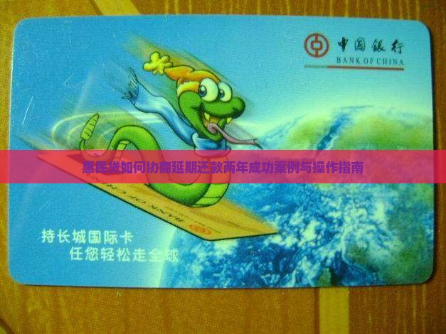 惠民贷如何协商延期还款两年成功案例与操作指南