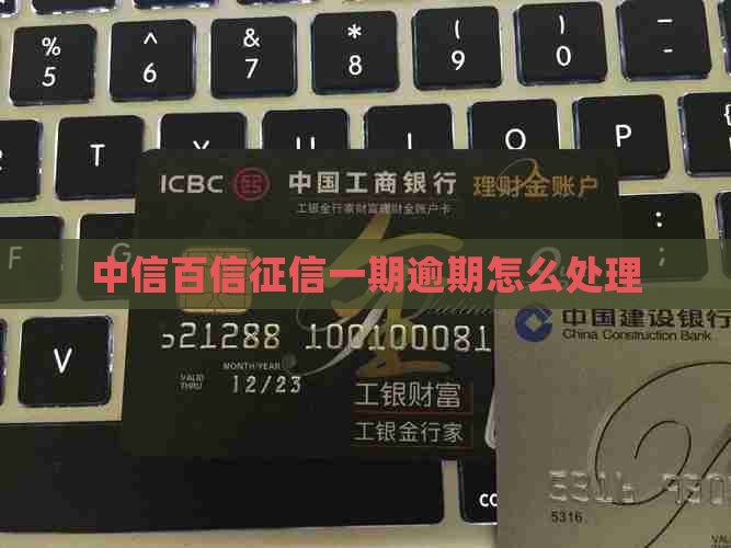 中信百信征信一期逾期怎么处理