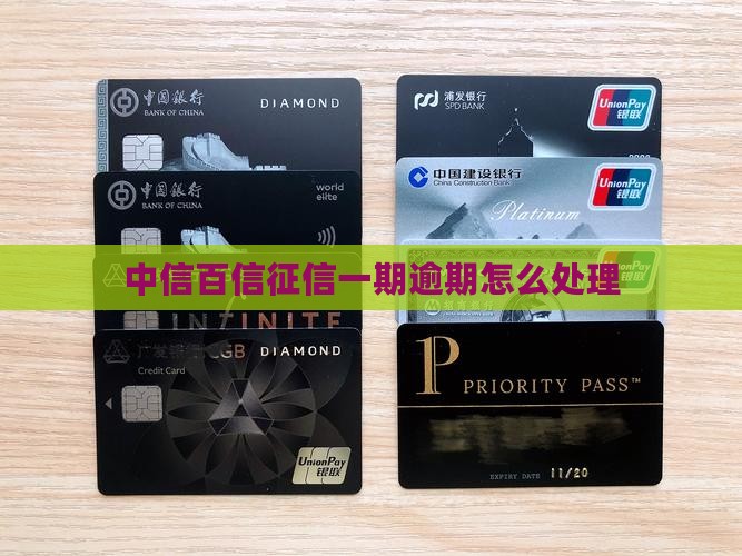 中信百信征信一期逾期怎么处理